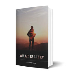 the lean startup - Eric Ries